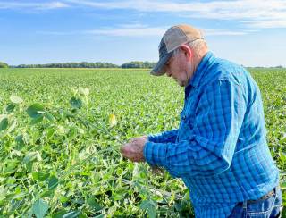 China se prepara para retaliar EUA com tarifas sobre produtos agrícolas