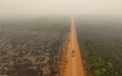 Desmatamento na Amazônia cai 7% em 2024, mas degradação tem alta de 497% por causa das queimadas