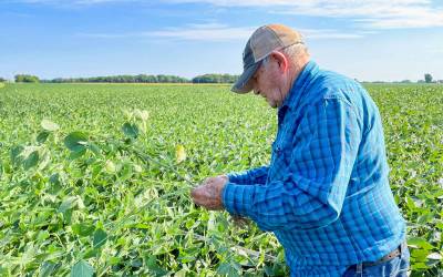 China se prepara para retaliar EUA com tarifas sobre produtos agrícolas