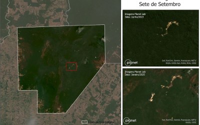 Garimpo avança em Terra Indígena de Rondônia, mostram imagens de satélite divulgadas pelo Greenpeace